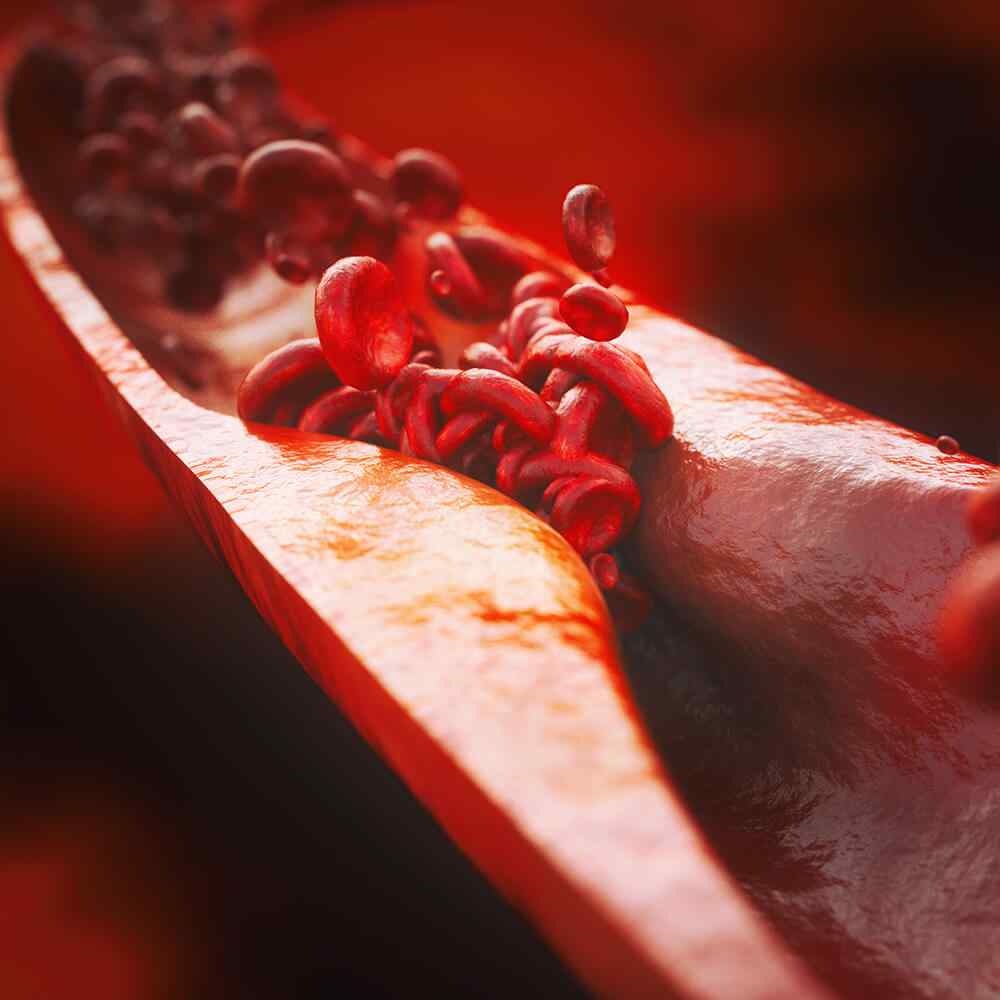 https://cleveltest.com/wp-content/uploads/2021/08/inner_image_01-1.jpg