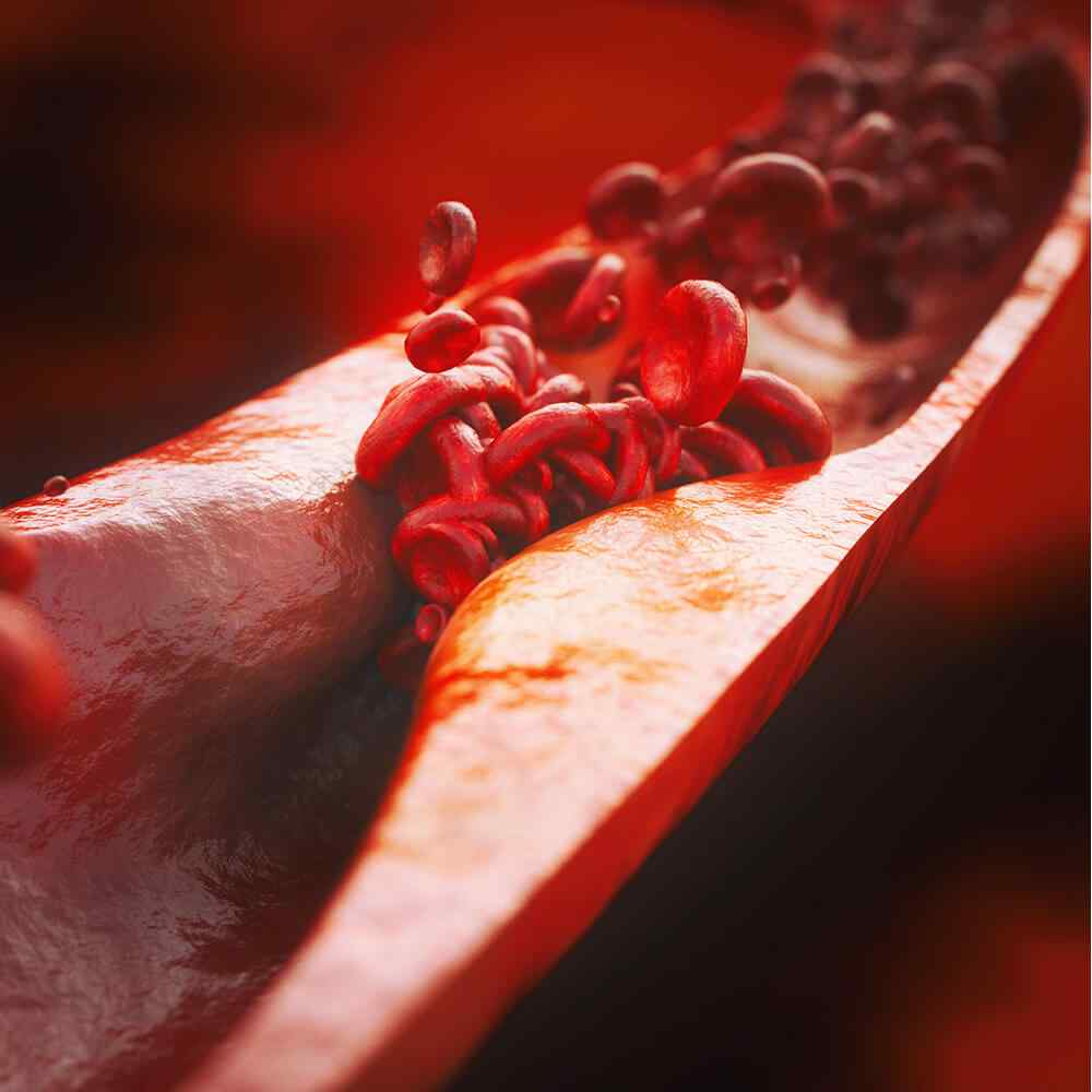 https://cleveltest.com/wp-content/uploads/2021/08/inner_image_04-1.jpg
