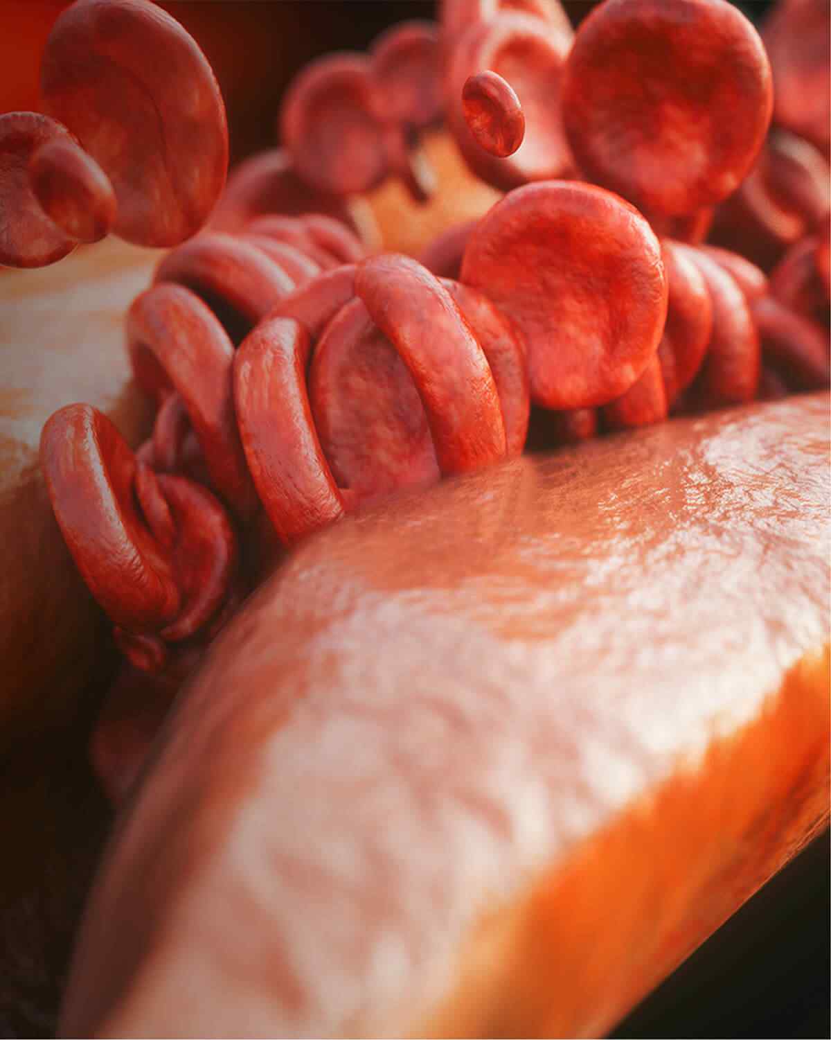 https://cleveltest.com/wp-content/uploads/2021/08/interactive_image_right-1.jpg